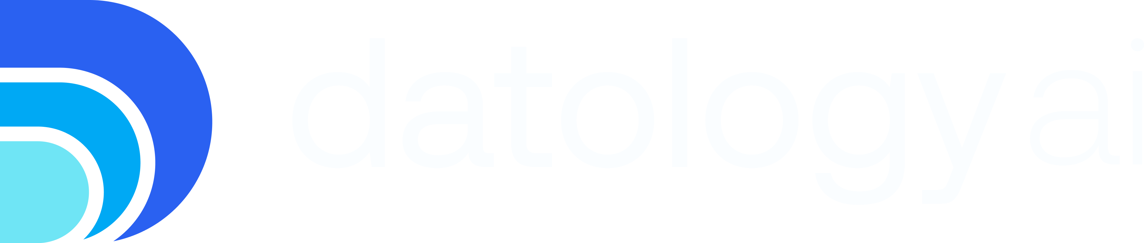 wordmark_snow